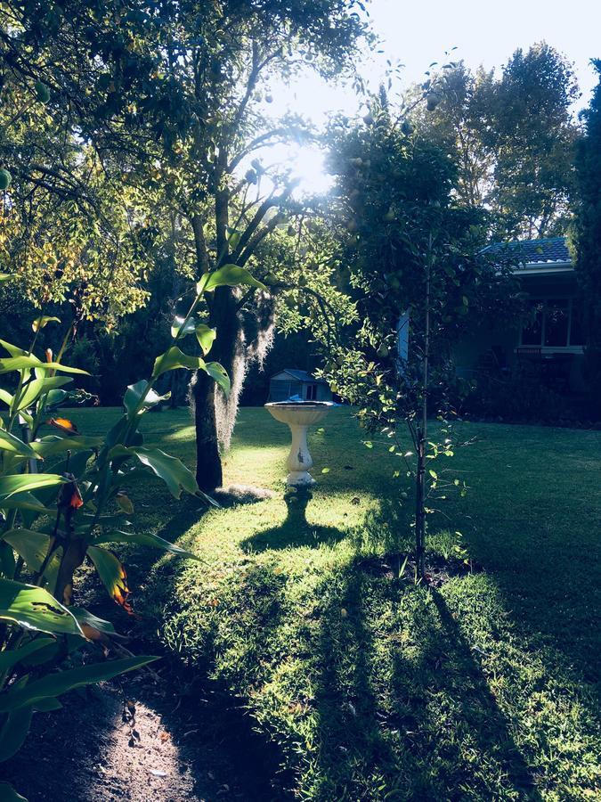 Constantia Spring Exterior foto